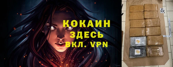 тгк Алексин