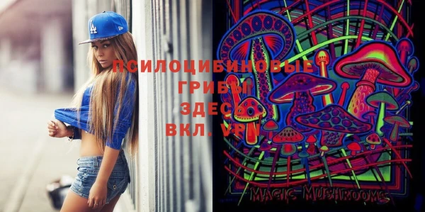 сатива Алзамай