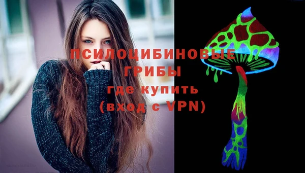 сатива Алзамай