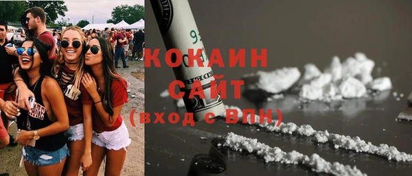 тгк Алексин